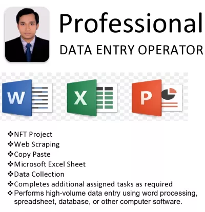 data entry, copy paste, web scraping and excel data entry