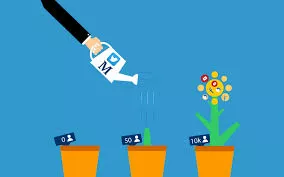 Help you promote your social media